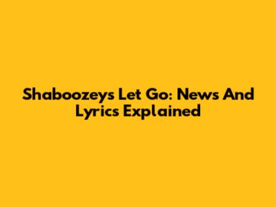 Shaboozey's "Let Go": News And Lyrics Explained