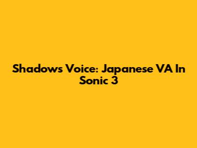 Shadow's Voice: Japanese VA In Sonic 3
