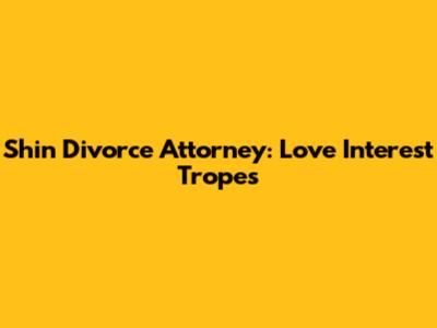Shin Divorce Attorney: Love Interest Tropes