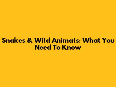 Snakes & Wild Animals: What You Need To Know