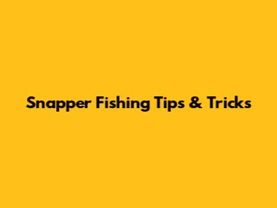 Snapper Fishing Tips & Tricks