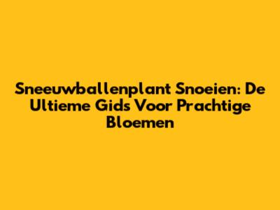 Sneeuwballenplant Snoeien: De Ultieme Gids Voor Prachtige Bloemen