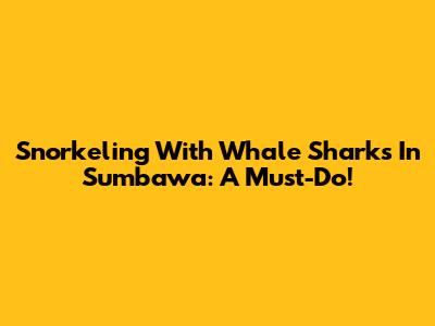 Snorkeling With Whale Sharks In Sumbawa: A Must-Do!