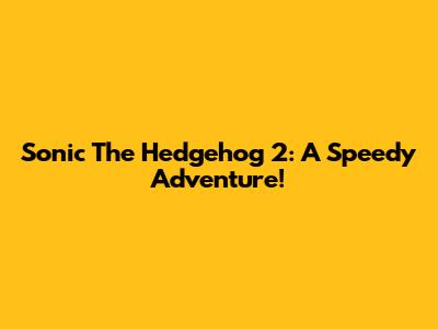 Sonic The Hedgehog 2: A Speedy Adventure!