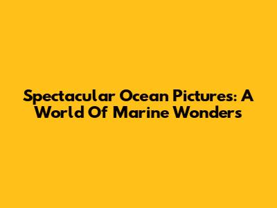 Spectacular Ocean Pictures: A World Of Marine Wonders