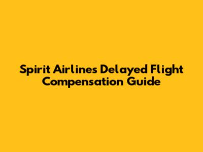 Spirit Airlines Delayed Flight Compensation Guide