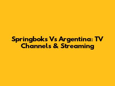 Springboks Vs Argentina: TV Channels & Streaming
