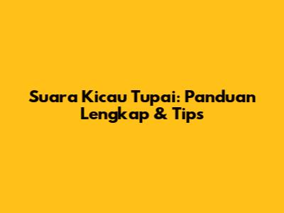 Suara Kicau Tupai: Panduan Lengkap & Tips