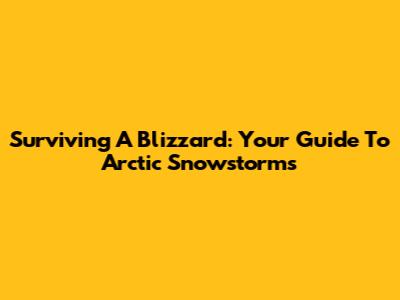 Surviving A Blizzard: Your Guide To Arctic Snowstorms