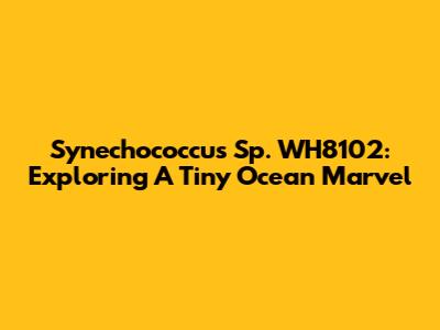 Synechococcus Sp. WH8102: Exploring A Tiny Ocean Marvel