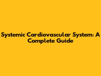Systemic Cardiovascular System: A Complete Guide