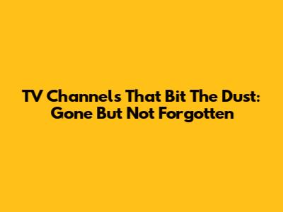 TV Channels That Bit The Dust: Gone But Not Forgotten