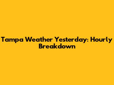 Tampa Weather Yesterday: Hourly Breakdown