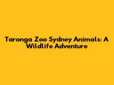 Taronga Zoo Sydney Animals: A Wildlife Adventure