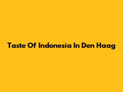 Taste Of Indonesia In Den Haag