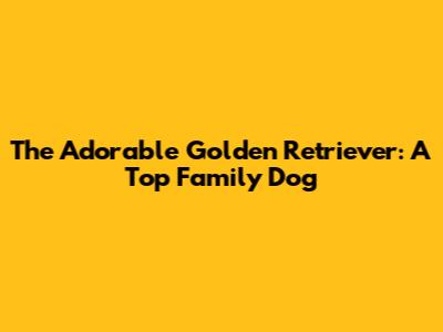 The Adorable Golden Retriever: A Top Family Dog