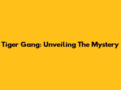Tiger Gang: Unveiling The Mystery