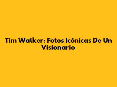 Tim Walker: Fotos Icónicas De Un Visionario