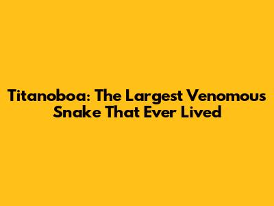 Titanoboa: The Largest Venomous Snake That Ever Lived