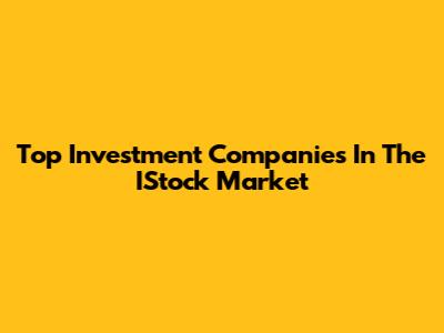 Top Investment Companies In The IStock Market