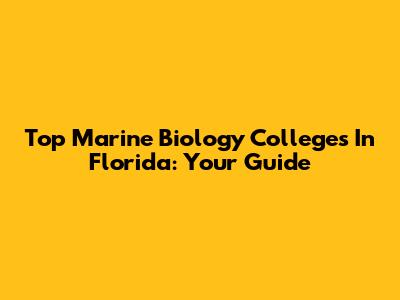 Top Marine Biology Colleges In Florida: Your Guide