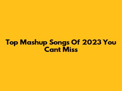 Top Mashup Songs Of 2023 You Can't Miss