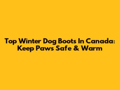 Top Winter Dog Boots In Canada: Keep Paws Safe & Warm