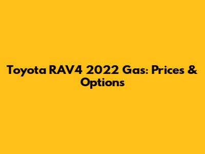 Toyota RAV4 2022 Gas: Prices & Options