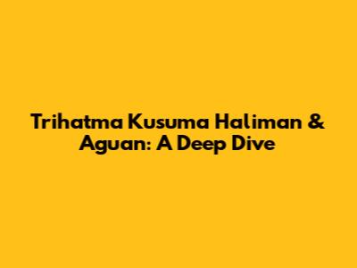 Trihatma Kusuma Haliman & Aguan: A Deep Dive
