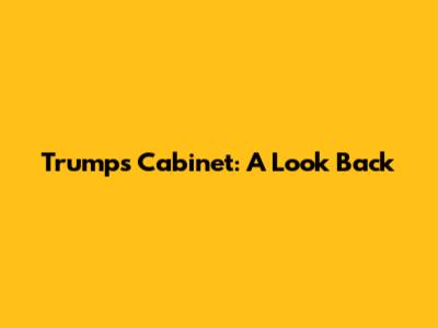 Trump's Cabinet: A Look Back