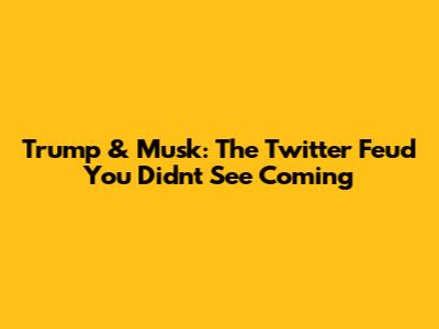 Trump & Musk: The Twitter Feud You Didn't See Coming