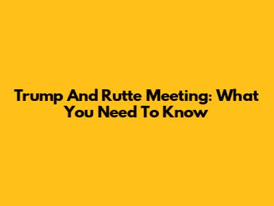 Trump And Rutte Meeting: What You Need To Know