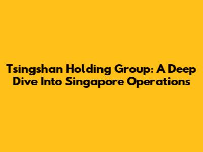 Tsingshan Holding Group: A Deep Dive Into Singapore Operations