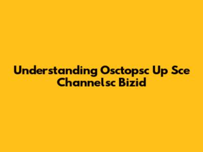 Understanding Osctopsc Up Sce Channelsc Bizid
