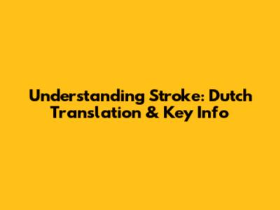Understanding Stroke: Dutch Translation & Key Info