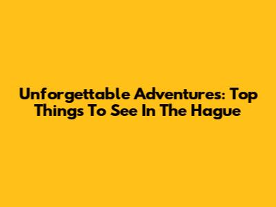 Unforgettable Adventures: Top Things To See In The Hague
