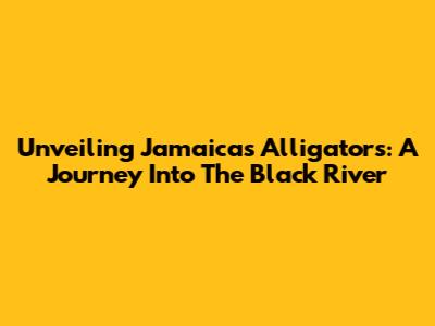 Unveiling Jamaica's Alligators: A Journey Into The Black River