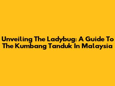 Unveiling The Ladybug: A Guide To The 'Kumbang Tanduk' In Malaysia