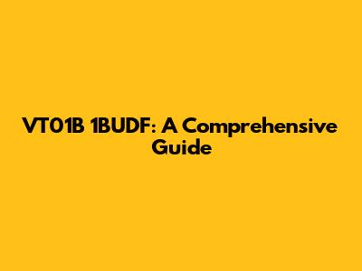 VT01B 1BUDF: A Comprehensive Guide