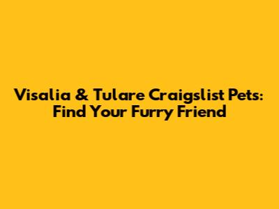Visalia & Tulare Craigslist Pets: Find Your Furry Friend