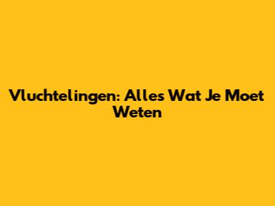 Vluchtelingen: Alles Wat Je Moet Weten
