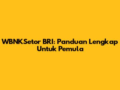 WBNKSetor BRI: Panduan Lengkap Untuk Pemula