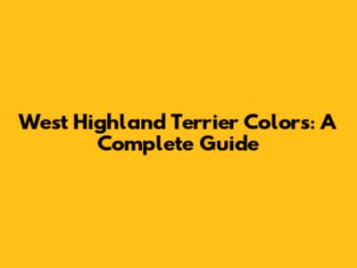 West Highland Terrier Colors: A Complete Guide