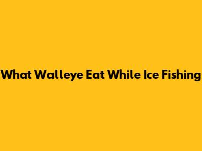 What Walleye Eat While Ice Fishing