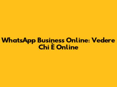 WhatsApp Business Online: Vedere Chi È Online