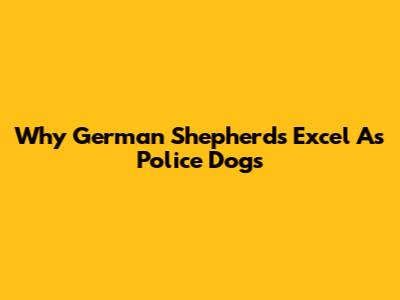 Why German Shepherds Excel As Police Dogs