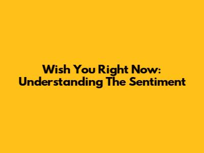 Wish You Right Now: Understanding The Sentiment