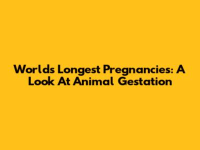 World's Longest Pregnancies: A Look At Animal Gestation