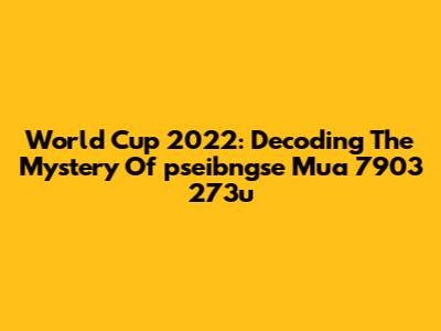 World Cup 2022: Decoding The Mystery Of 'pseibngse Mua 7903 273u'