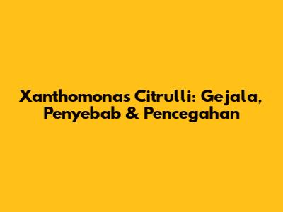 Xanthomonas Citrulli: Gejala, Penyebab & Pencegahan